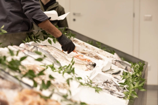 Damare Pescheria - Dettaglio